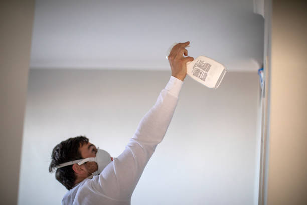 Best Local Mold Removal Service  in Dekal, IL