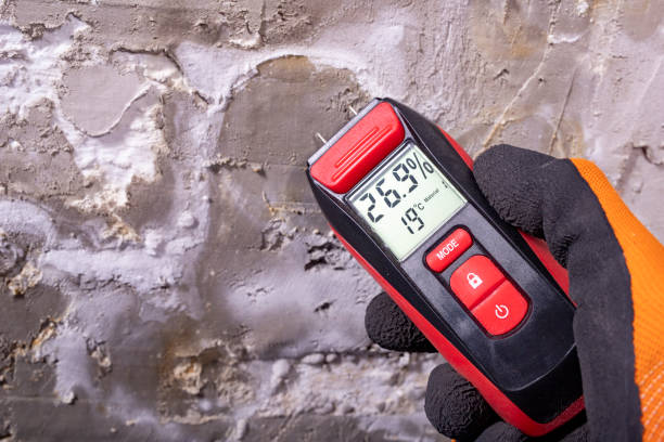 Best Affordable Mold Removal  in Dekal, IL