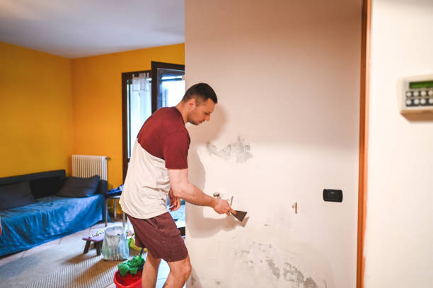 Best Commercial Mold Removal  in Dekal, IL